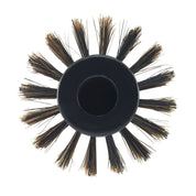 Natural Boar Bristle - CR103 N - 3" - Shopbeautytools