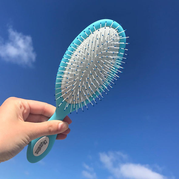 Wet/Dry Hair Brushes